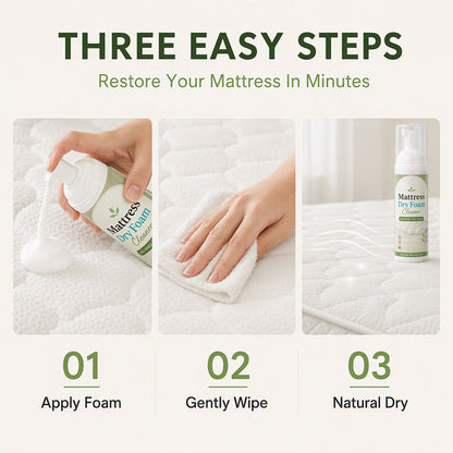 30% OFF NOW!✨ Sorelvina FreshLift™ Mattress & Upholstery Cleaner